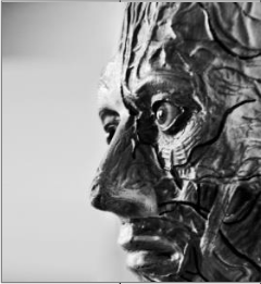 ZăriAlbAstre2013: „Şi în momentul ăla jur că dădeam toţi la medicină“ de Ilinca Bogaciov, clasa a XI-a B